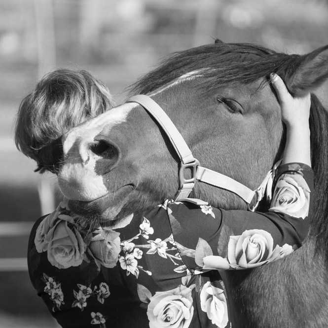 Au contact des chevaux