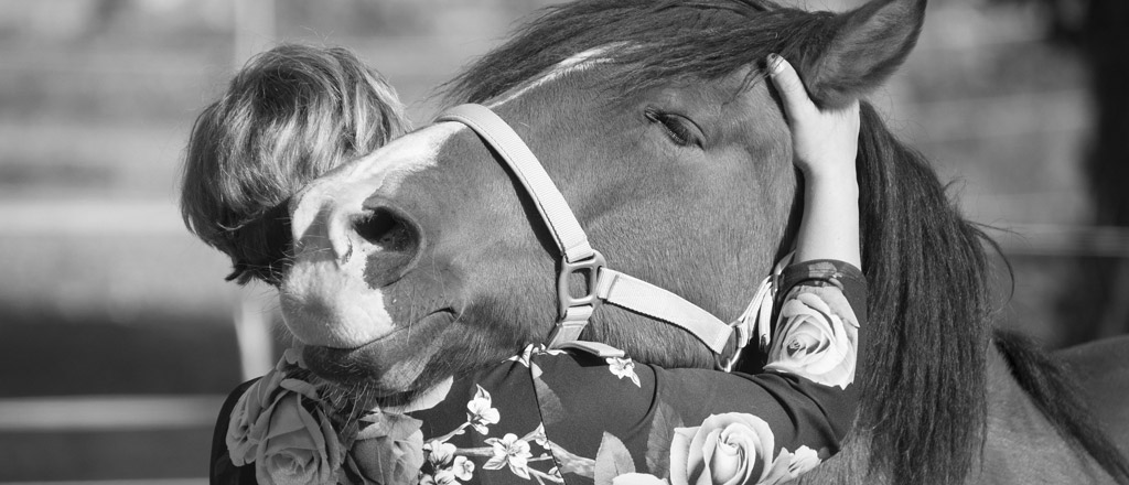 Au contact des chevaux