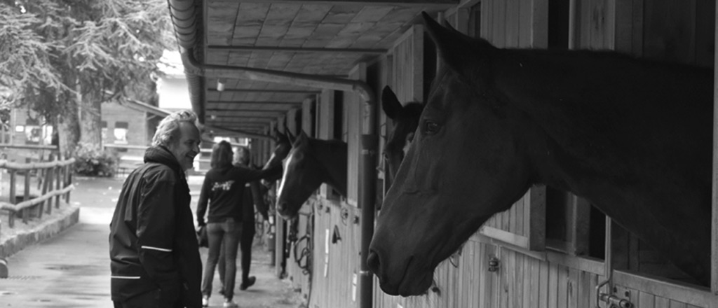 Au contact des chevaux